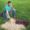 Rhino Seed EZ Straw 2.5 Cu Ft Seeding Mulch Bale with Tack, 500 Sq Ft