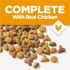 Purina Cat Chow Complete, Dry Cat Food, Chicken, 20 lb Bag