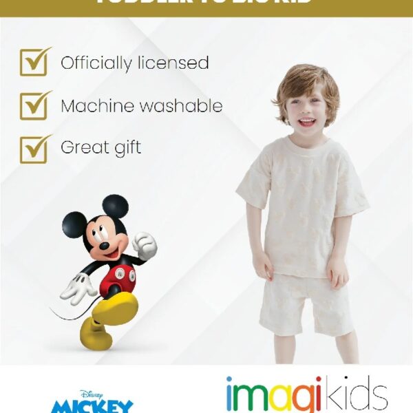 Mickey Mouse Little Boys T-Shirt and Shorts Outfit Set Toddler to Big Kid