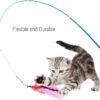 Cat Toys, Interactive Cat Toy 2PCS Retractable Wand Toy and 9PCS Feather Toys Refills