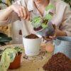 200Pcs 50mm Coco Coir Potting Soil, 100% Organic Coconut Fiber, Suitable for Plant Gardening Herbs