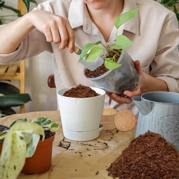 200Pcs 50mm Coco Coir Potting Soil, 100% Organic Coconut Fiber, Suitable for Plant Gardening Herbs