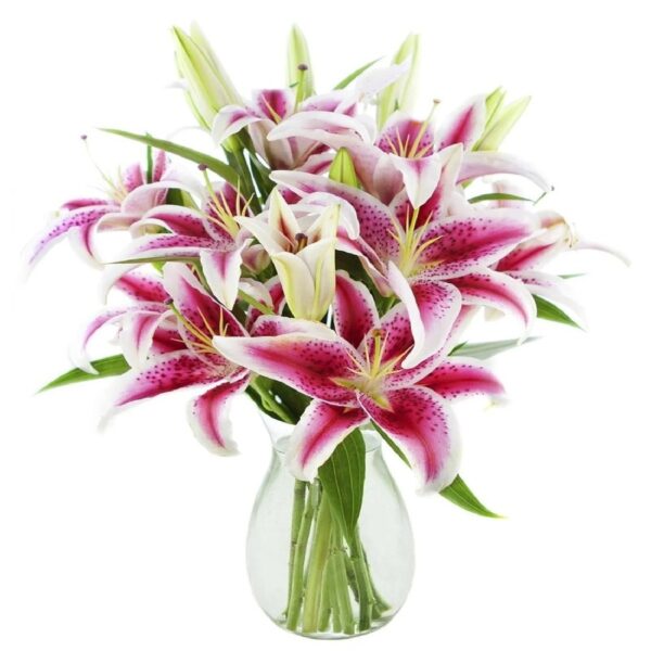 KaBloom : 10 stargazer lilies with greens in vase, Next-Day Delivery, Gift for Every Occasion.