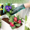 10lb of  100% Organic Coco Coir Bricks with Low EC and pH Balance High Expansion Coco Fiber for Herbs, Flowers,Plants Gardening Renewable Coconut Soil