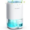 Dehumidifier,280 sq.ft Dehumidifier for Room,35oz Portable Water Tank,Ultra Quiet with Auto Shut Off