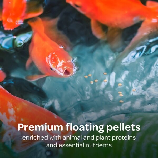 Kaytee Koi's Choice Koi Floating Fish Food 10 pounds