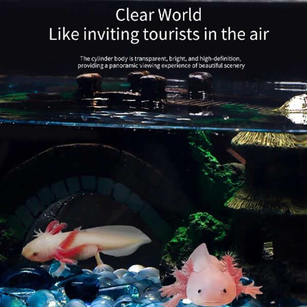 WINDLAND Clear Fish Habitat for Aquatic Pets Salamanders and Plant Life