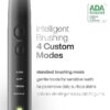 Black Series Electric Toothbrush - Rechargeable, 4 Modes, Travel Case, 8 Brush Heads