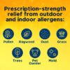 24 Hour Allergy Relief Medicine, Original Prescription Strength Antihistamine, Levocetirizine Dihydrochloride Tablets 5 mg, 55 Count