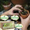 10lb of  100% Organic Coco Coir Bricks with Low EC and pH Balance High Expansion Coco Fiber for Herbs, Flowers,Plants Gardening Renewable Coconut Soil