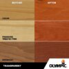 WaterGuard 1 Gallon Sequoia Red Transparent Wood Stain and Sealer