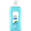 (4 pack) Body Wash, Refresh & Renew Spring Water, 32 fl oz