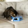 Vibrant Life Hex Maze Electronic Cat Toy