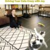 Cat Toys, Interactive Cat Toy 2PCS Retractable Wand Toy and 9PCS Feather Toys Refills