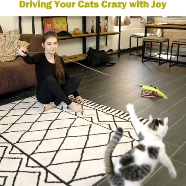 Cat Toys, Interactive Cat Toy 2PCS Retractable Wand Toy and 9PCS Feather Toys Refills