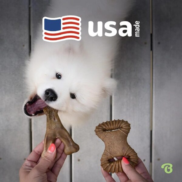 2-Pack Fishbone/Wishbone Durable Dog Chew Toys, Real Fish, Real Bacon, Large