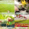 10lb of  100% Organic Coco Coir Bricks with Low EC and pH Balance High Expansion Coco Fiber for Herbs, Flowers,Plants Gardening Renewable Coconut Soil