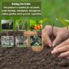 200Pcs 50mm Coco Coir Potting Soil, 100% Organic Coconut Fiber, Suitable for Plant Gardening Herbs
