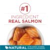 Purina  Tender Select Blends Dry Cat Food, Salmon, 7 lb Bag