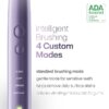 Black Series Electric Toothbrush - Rechargeable, 4 Modes, Travel Case, 8 Brush Heads