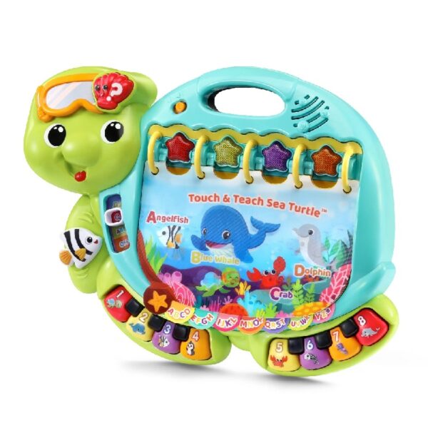 Turtle Baby and Toddler Toys