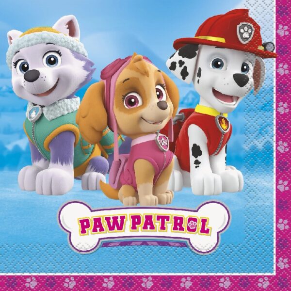 Anscam Paw Patrol Girls Skye and Everest Party Decoration Kit