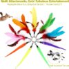 Cat Toys, Interactive Cat Toy 2PCS Retractable Wand Toy and 9PCS Feather Toys Refills