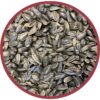Select Black Oil Sunflower Seed Wild Bird Dry Feed, 40 lb. Bag