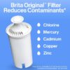 Standard Water Filter, Replacement Filters for Pitchers and Dispensers, BPA Free, 6 Count