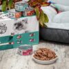 Special Kitty Surf & Turf Pate Wet Cat Food Variety Pack, 5.5 oz Cans (40 Pack)
