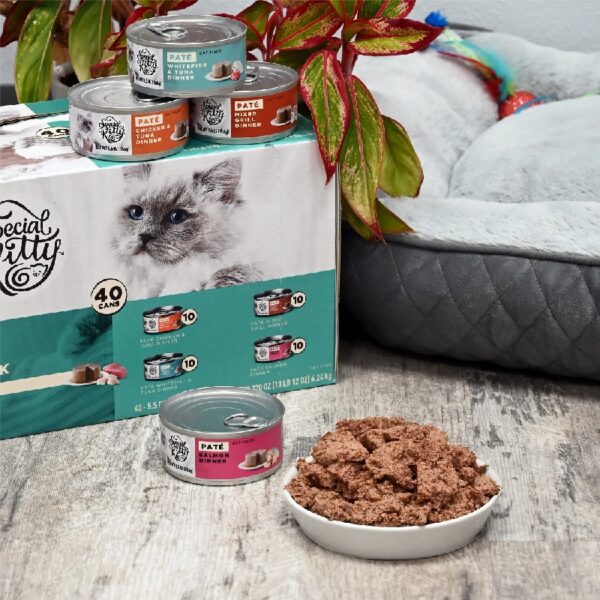 Special Kitty Surf & Turf Pate Wet Cat Food Variety Pack, 5.5 oz Cans (40 Pack)