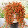 4PCS Artificial Flowers outdoor Spring Summer Decor Fake Hanging Plants UV Resistant Faux Plastic Greenery Hanging Flowers for Outside Gardens Porch Wall Home Indoor,ORANGE&YELLOW