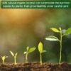 10lb of  100% Organic Coco Coir Bricks with Low EC and pH Balance High Expansion Coco Fiber for Herbs, Flowers,Plants Gardening Renewable Coconut Soil