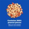 (2 pack) Peanuts Wild Bird Food 5 pounds