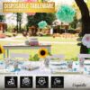 Exquisite 350 Piece Easter Plastic Disposable Party Plates & Dinnerware Combo Set