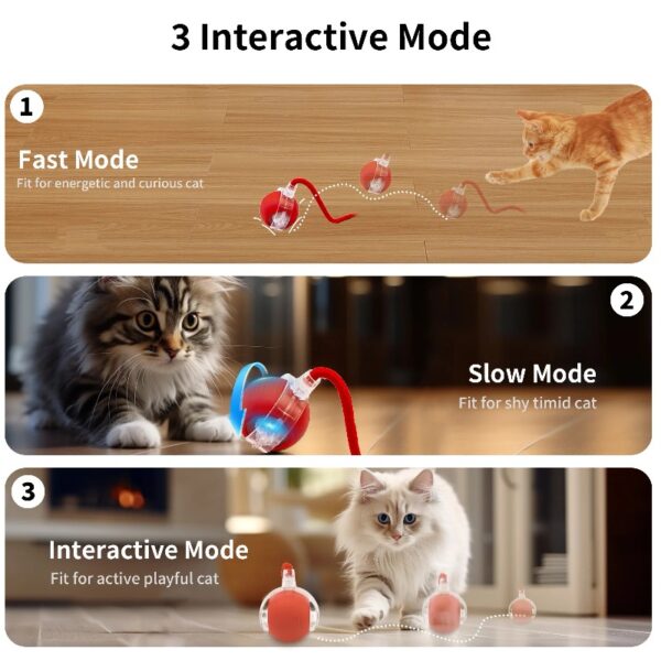 Cat Toys Rechargeable Electronic Pet Toy Ball Fast Rolling in Pouch Interactive Cat Toys for Indoor Cats