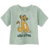 Mickey Mouse Little Boys T-Shirt and Shorts Outfit Set Toddler to Big Kid
