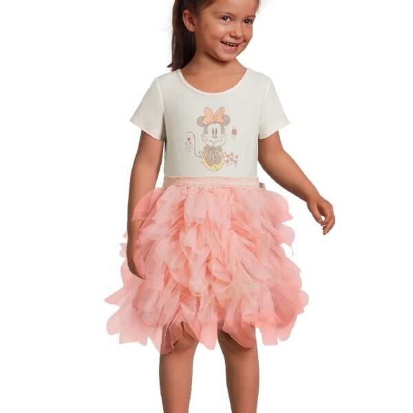 Disney Frozen Toddler Girl Short Sleeve Tutu Dress, Sizes 12M-5T