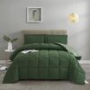 Light Weight Down Alternative Comforter Set, Queen, Green, Reversible