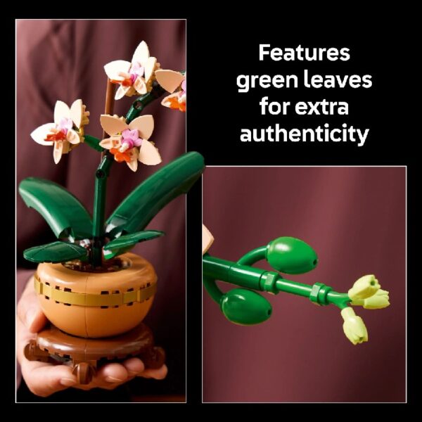 Botanicals Mini Orchid Building Set - Artificial, Fake Orchid for Home Decor, Adults Ages 18+ - Indoor Plant Decorations for Table, Desk, Office - Gift for Graduation - 10343