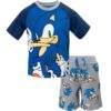 Sonic The Hedgehog Little Boys T-Shirt and French Terry Shorts Outfit Set Toddler to Big Kid