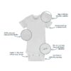 Assorted Short Sleeve Onesies Bodysuits, 8pk (Baby Boy or Baby Girl Unisex)