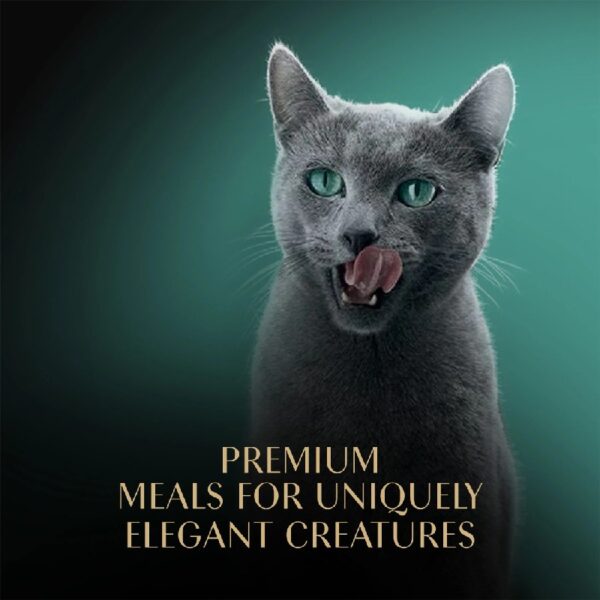 Perfect Portions Cuts In Gravy Variety Pack Wet Cat Food, 2.6 Oz Twin-Pack Trays (24 Count)