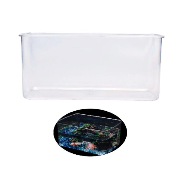 WINDLAND Clear Fish Habitat for Aquatic Pets Salamanders and Plant Life