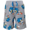 Sonic The Hedgehog Little Boys T-Shirt and French Terry Shorts Outfit Set Toddler to Big Kid