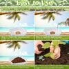 200Pcs 50mm Coco Coir Potting Soil, 100% Organic Coconut Fiber, Suitable for Plant Gardening Herbs
