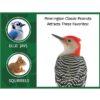 (2 pack) Shelled Peanuts Wildlife and Wild Bird Food, 5 lb. Bag, 1 Pack, Dry