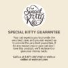 Special Kitty Poultry & Beef Cuts in Gravy Wet Cat Food Variety Pack, 5.5 oz Cans (40 Pack)