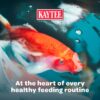 Kaytee Koi's Choice Koi Floating Fish Food 10 pounds