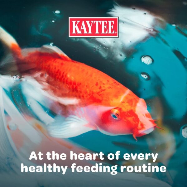 Kaytee Koi's Choice Koi Floating Fish Food 10 pounds